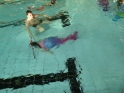 Meerjungfrauenschwimmen-106.jpg